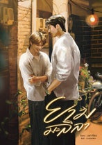 Novel cover