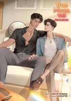 Novel cover