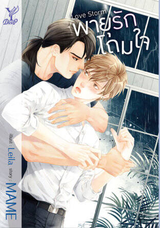 Love Storm