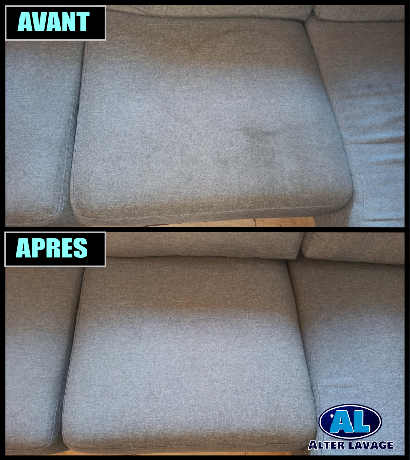 Pipi chien chat animal suppression odeur 