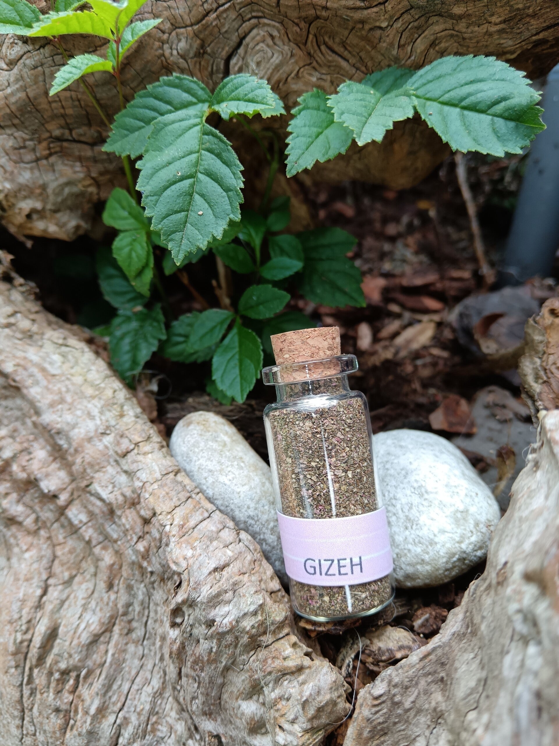 Encens naturel Gizeh