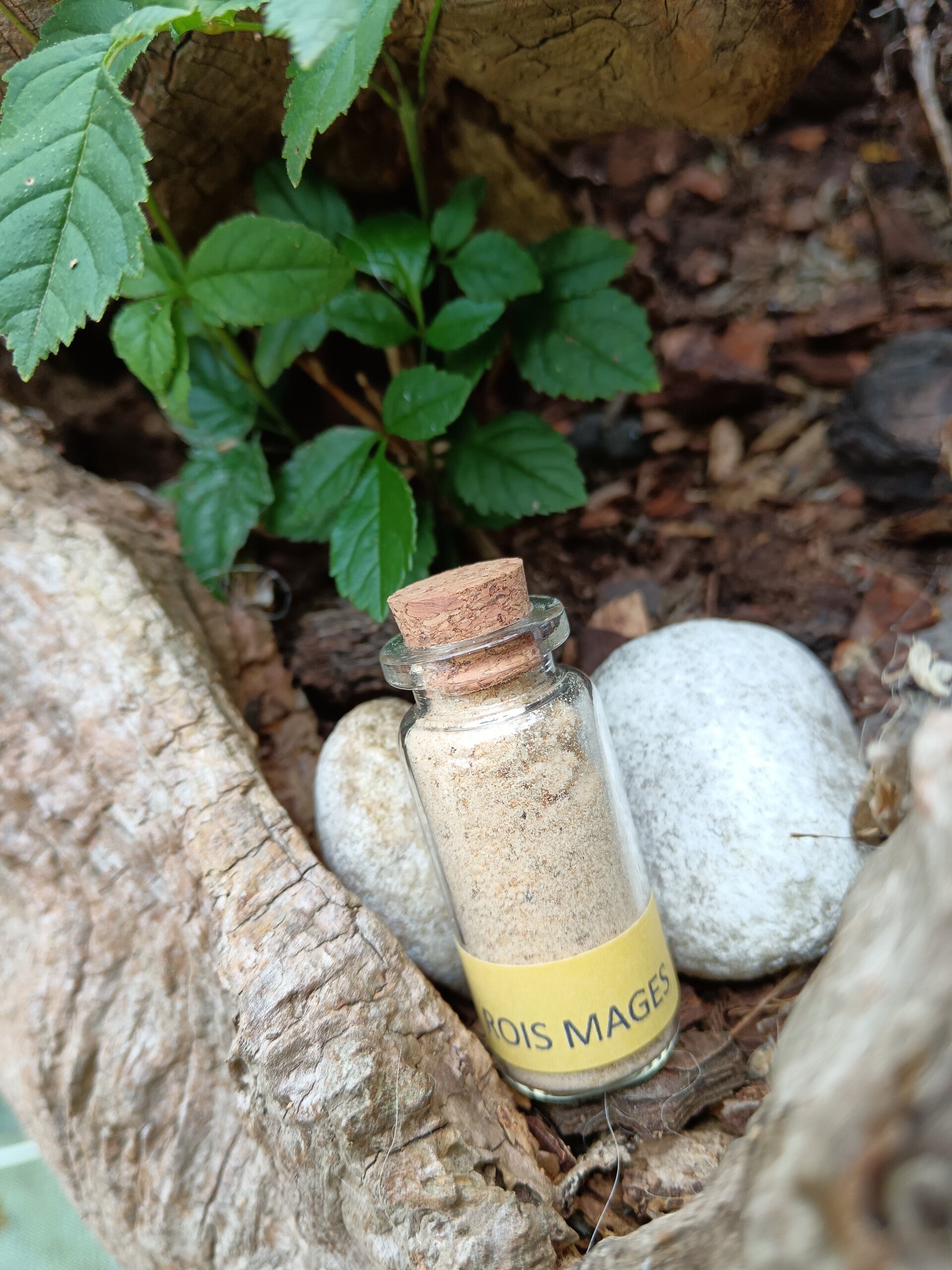 Encens naturel Rois Mages