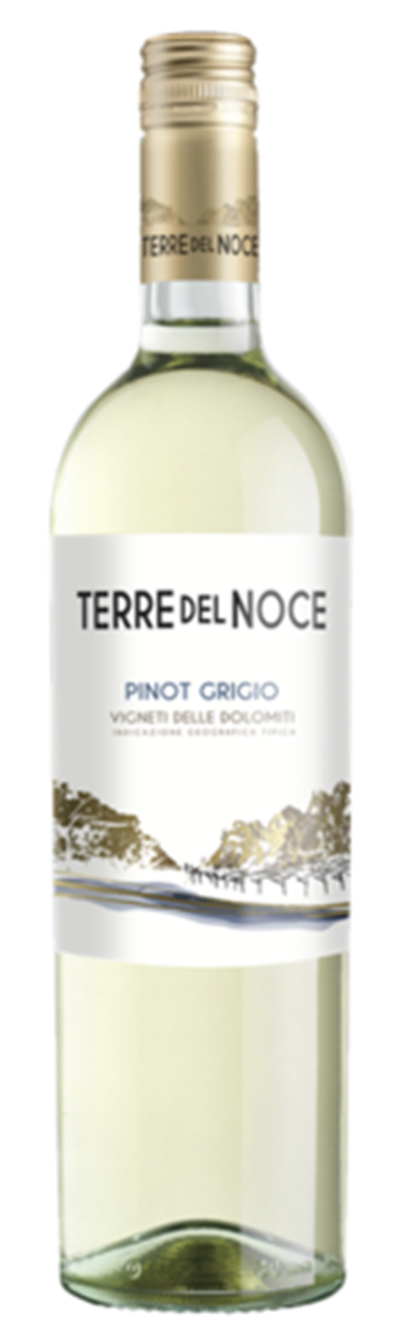 Terre del Noce Pinot Grigio