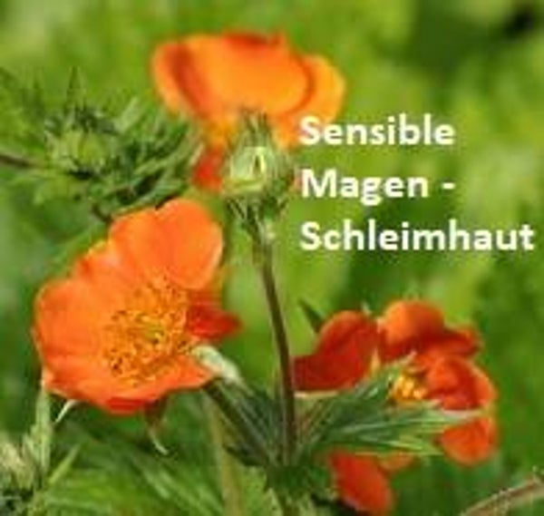 Hoppel sensitiv