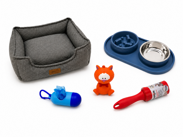 Starterset Puppy - Kleine Hond