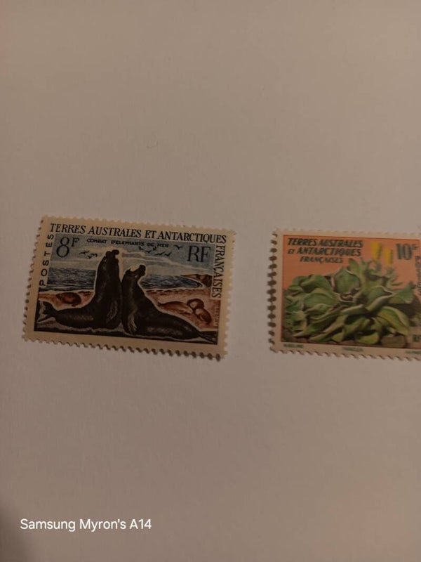 French Southern & Antarctic Terr 11, 22 Singles MH