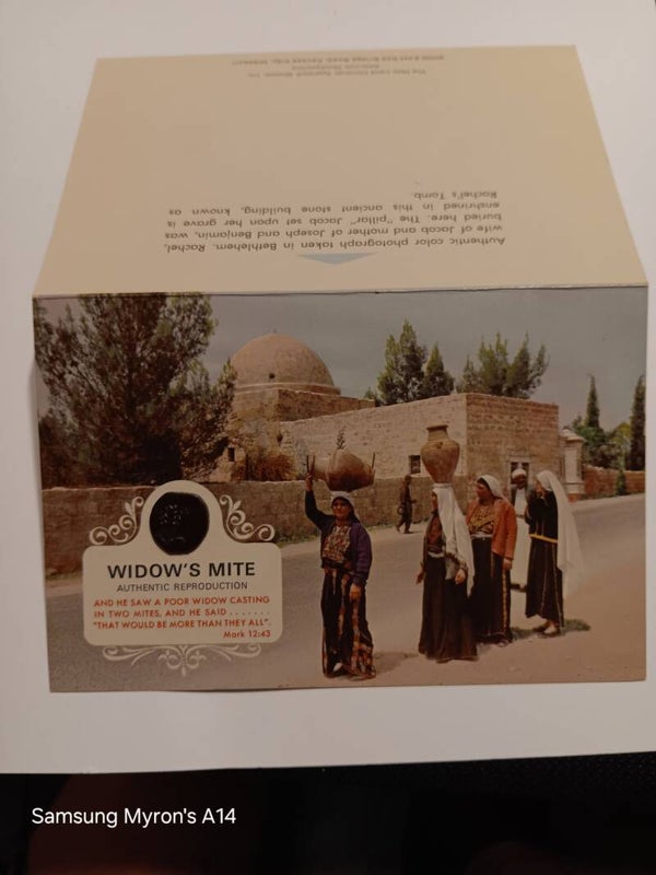 PICS004 Widow's Mite reproduction