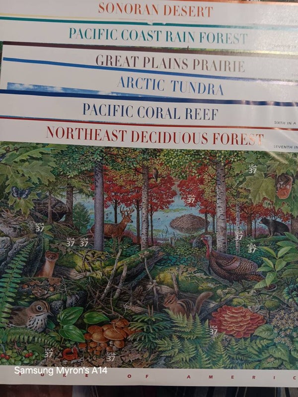 United States 3293,3378 3506,3802,3831,3899