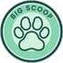 big scoop pet cleanup