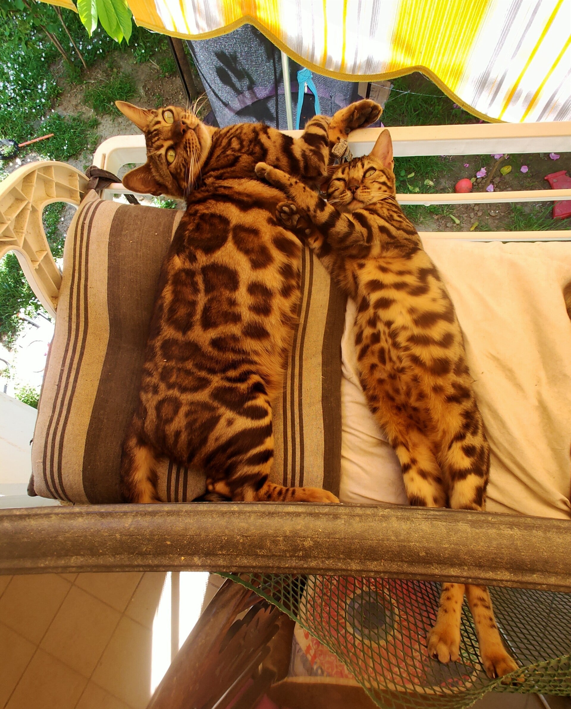 img_20260426_124534-standard.jpg