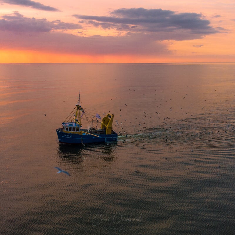 DJI_0041.jpg
