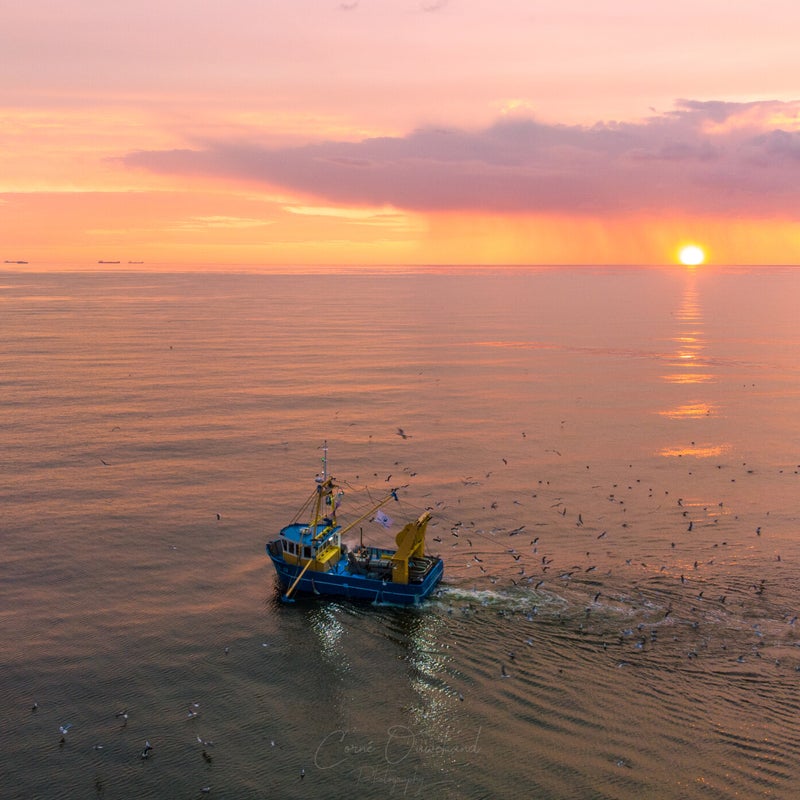 DJI_00452.jpg