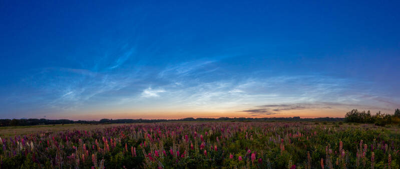 IMG_3810-Pano-2.jpg