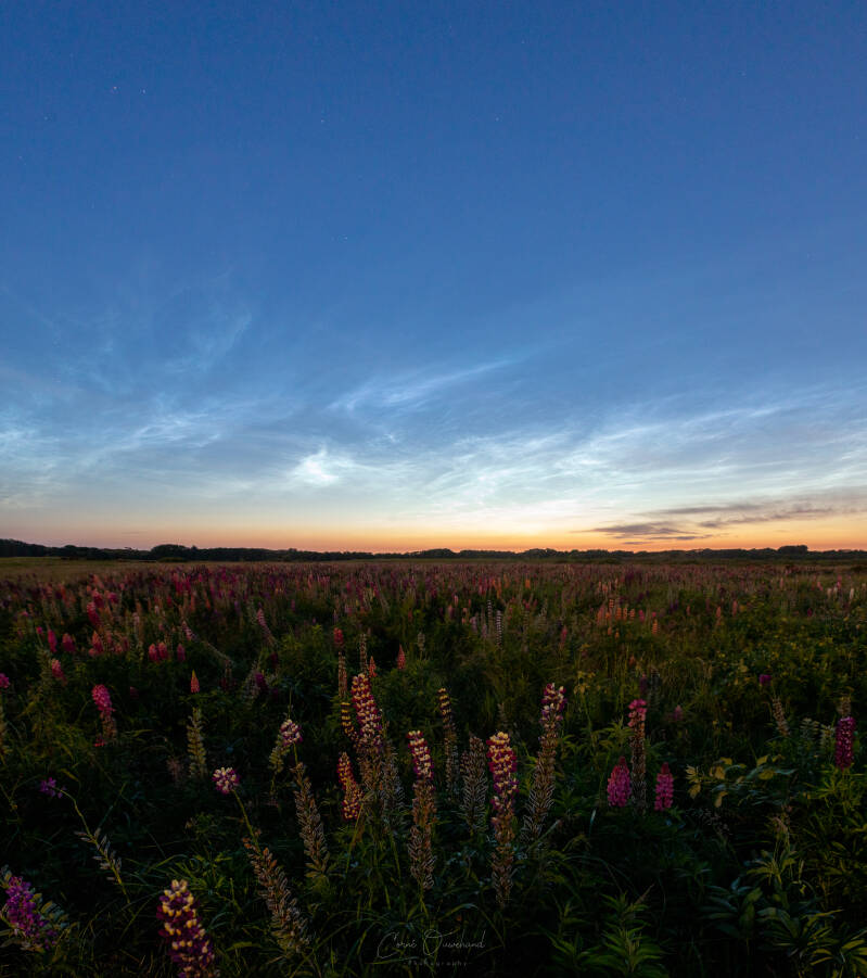 IMG_3821-Pano.jpg
