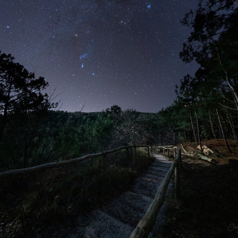 orion-trap-lq.jpg
