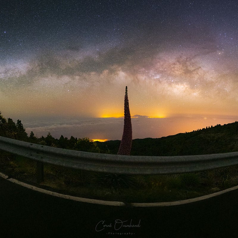 pano-taji-lq-standard.jpg