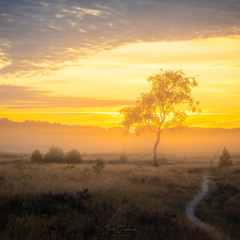 img_1407-hdr.jpg