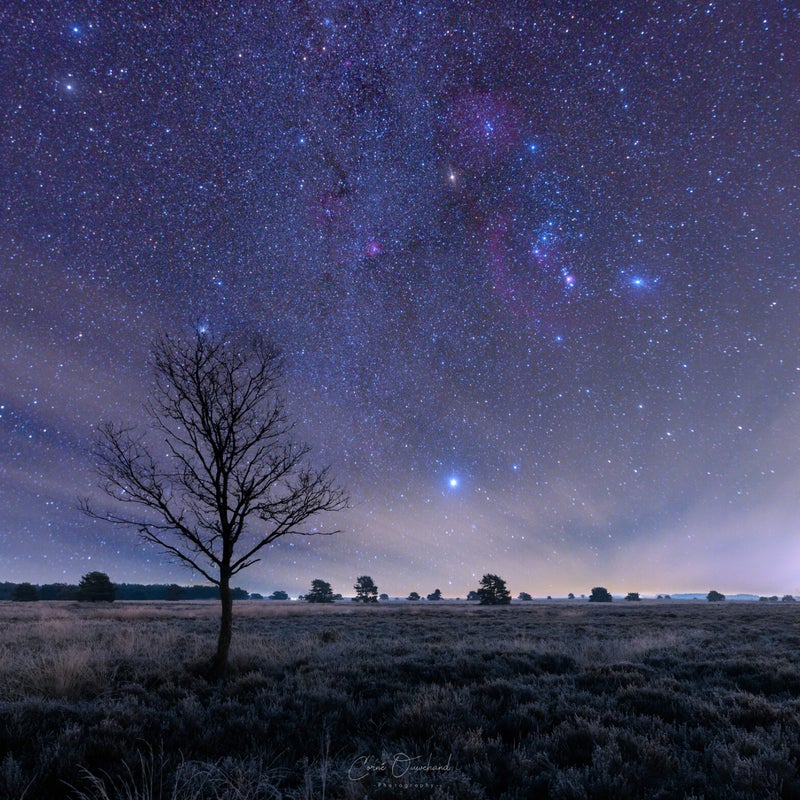 orion-ermelo2.jpg