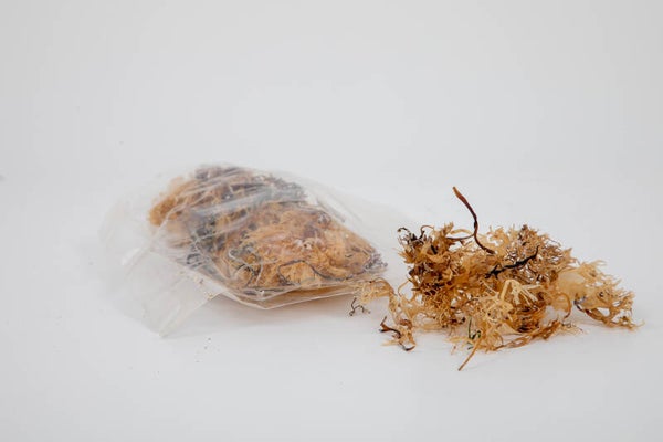 Refill Face Treatment/ Shower Gel