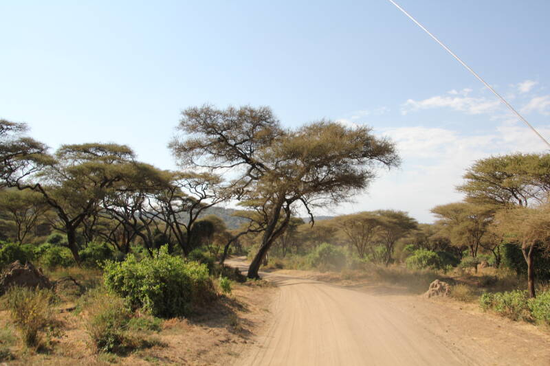 Lake Manyara National Park