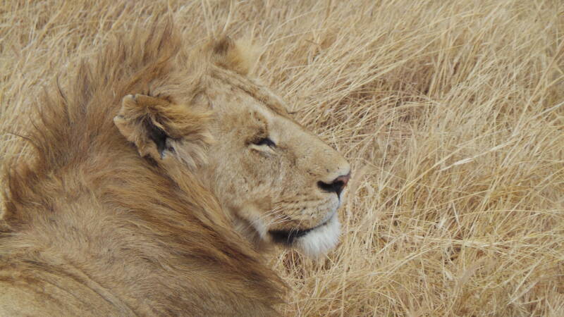 Ngorongoro National Park