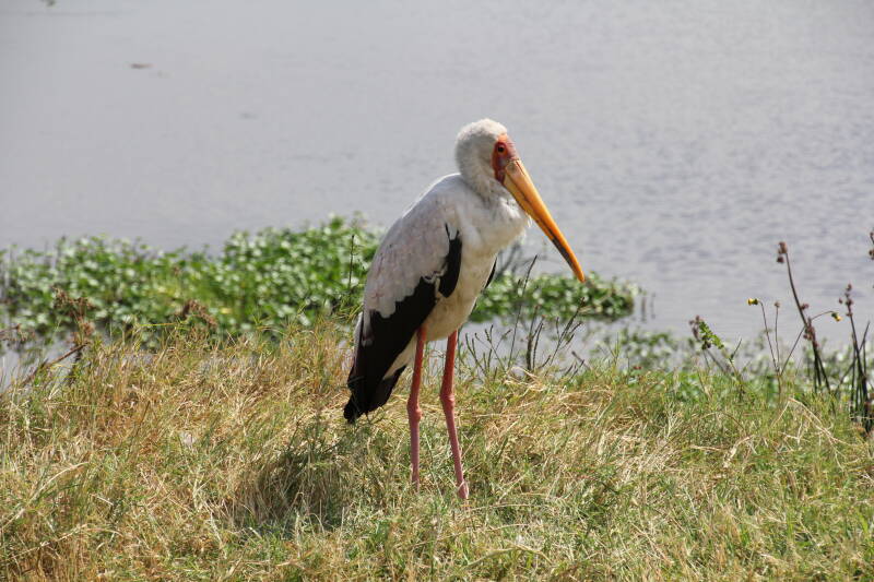 Ngorongoro National Park