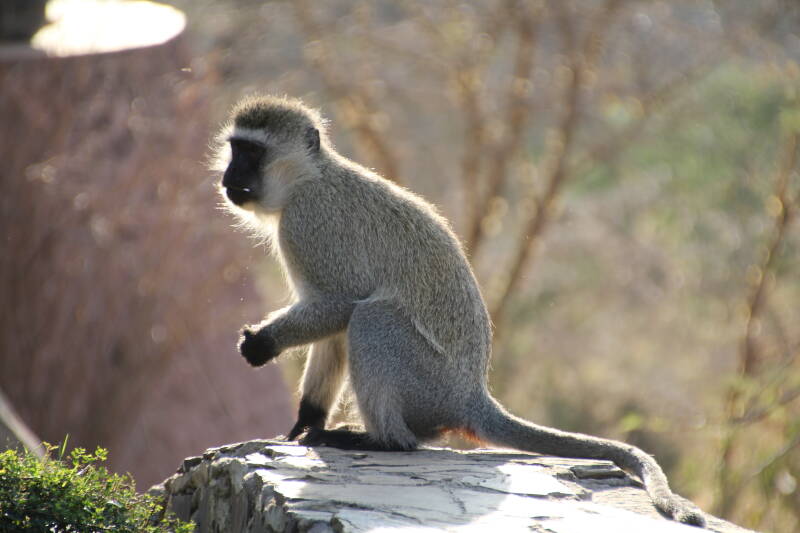 Serengeti National Park