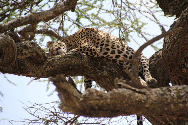 Serengeti National Park