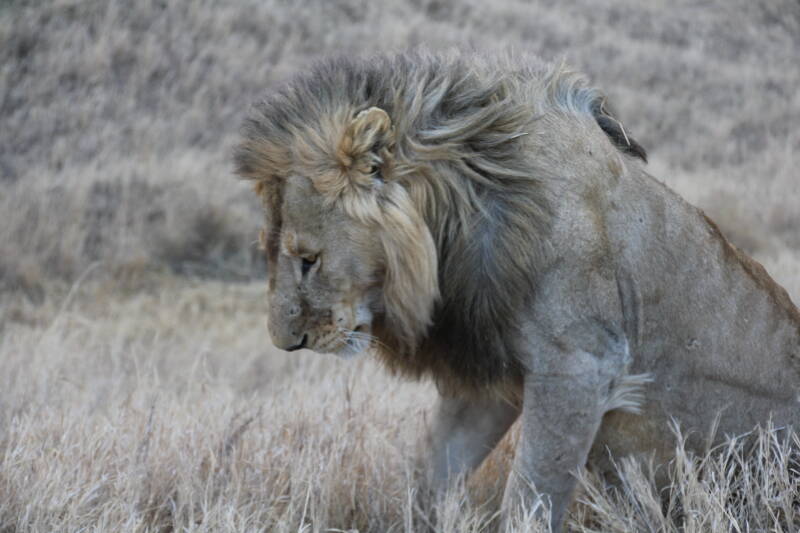 Serengeti National Park