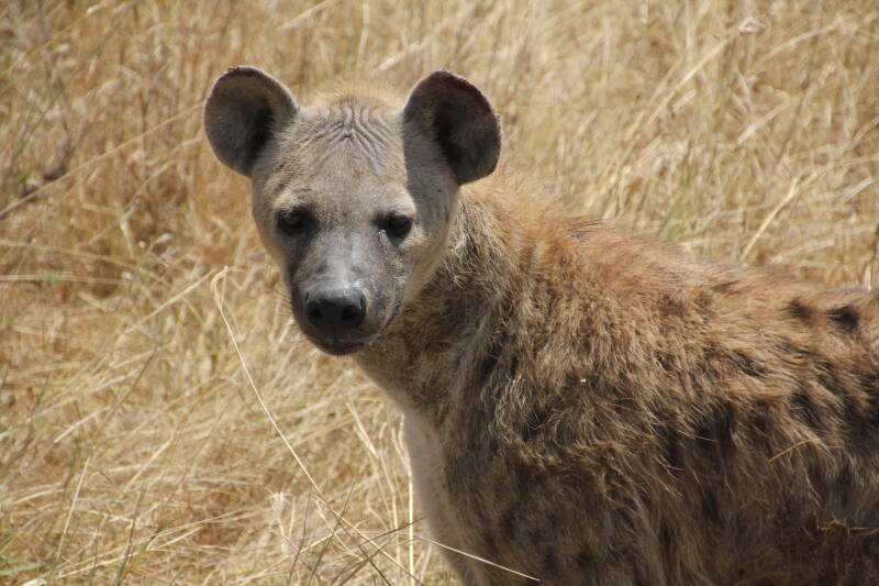 Serengeti National Park