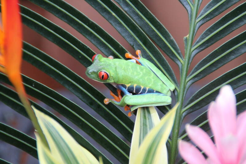 Tortuguero National Park