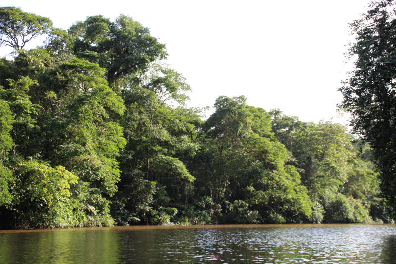 Tortuguero National Park