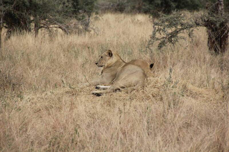 Tarangire National Park