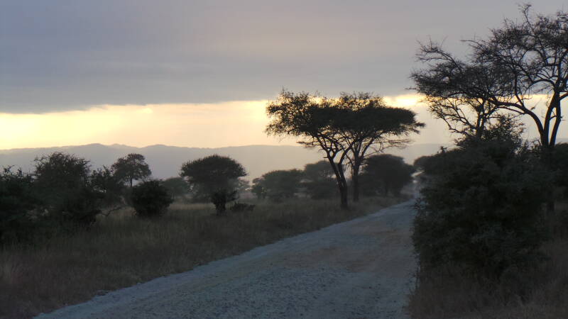 Tarangire National Park