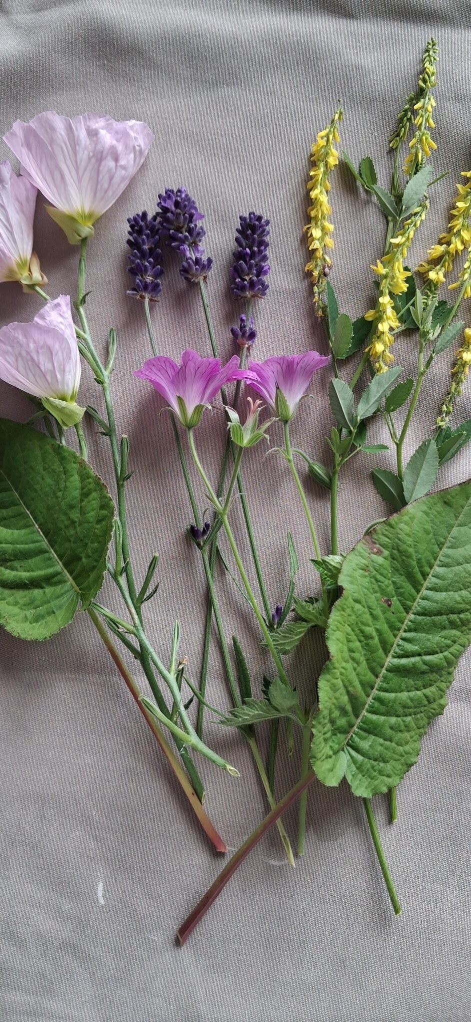 workshop botanische kunst