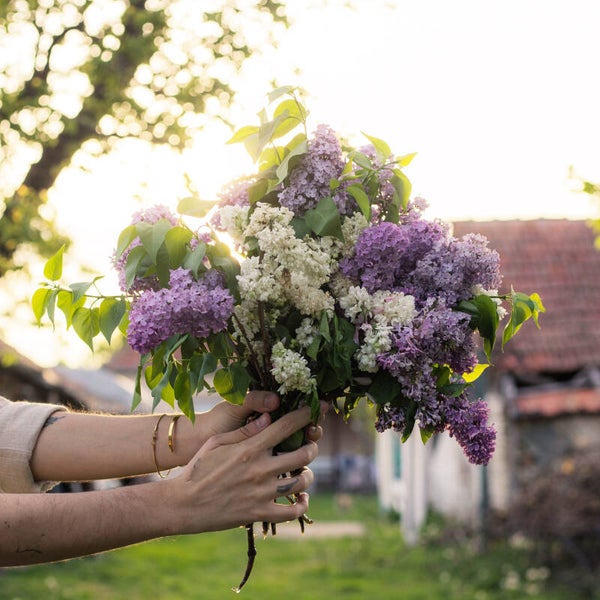 Workshop bloemen plukken & botanische gipstegel 2026 - IJzendoorn