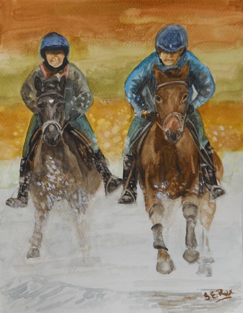 a-canter-through-the-surf-standard.jpg