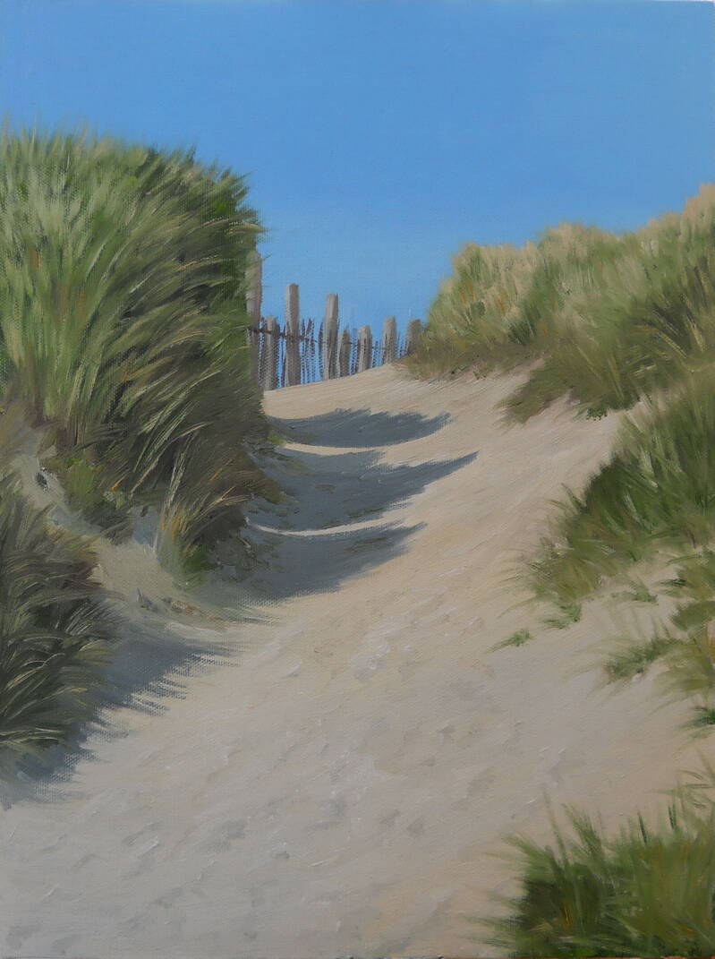 cornish-sand-dune-standard-ud425j.jpg
