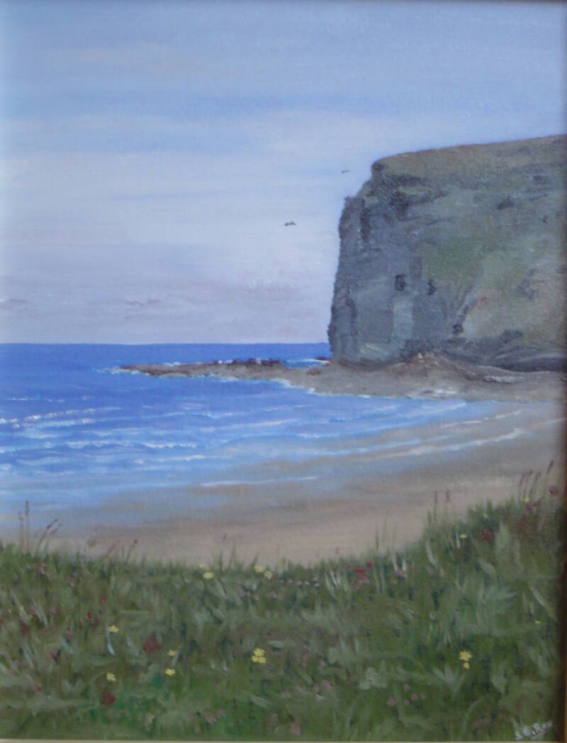 crackington-haven-standard.jpg