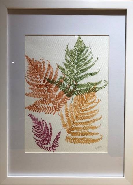 ferns-picture-in-watercolour-2024-standard.jpg
