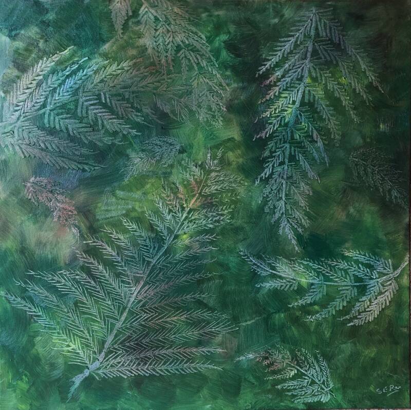 green-ferns-2024-standard-dbo88a.jpg