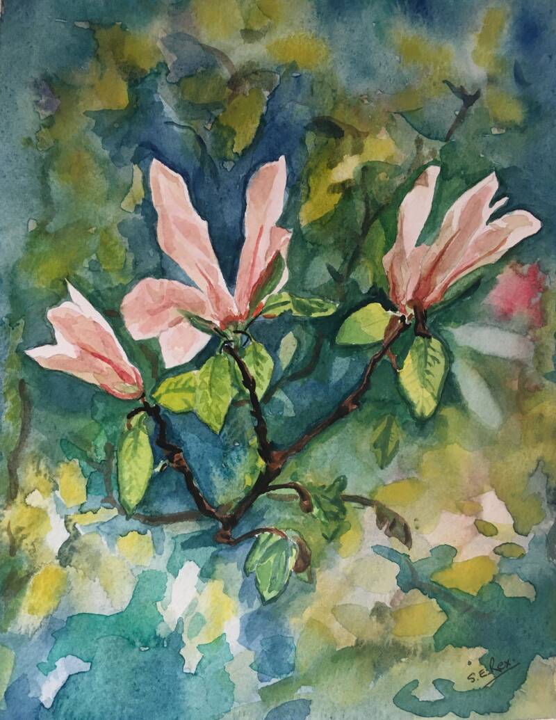 magnolias-in-watercolour-standard.jpg