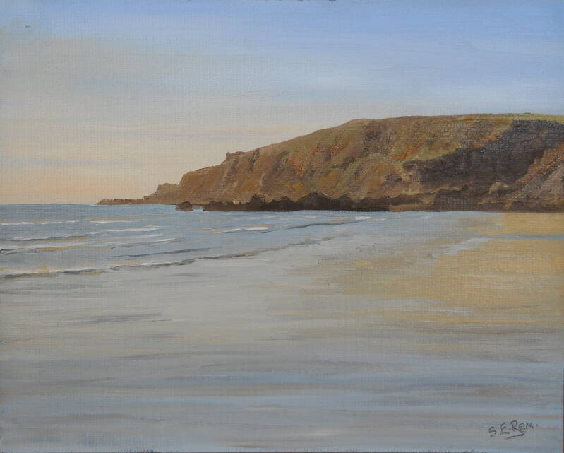sandymouth-evening-standard.jpg