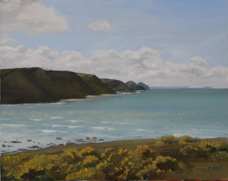 widemouth-bay-standard.jpg