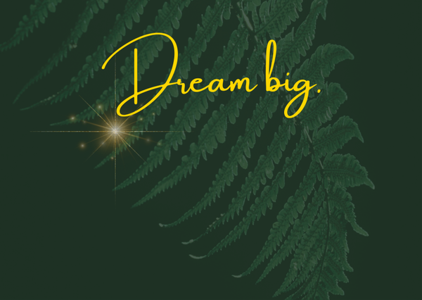 Ansichtkaart 'Dream big'