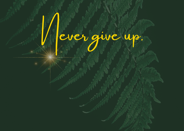 Ansichtkaart 'Never give up'
