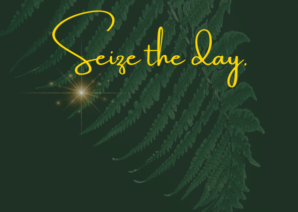 Ansichtkaart 'Seize the day'