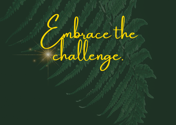 Ansichtkaart 'Embrace the challenge'