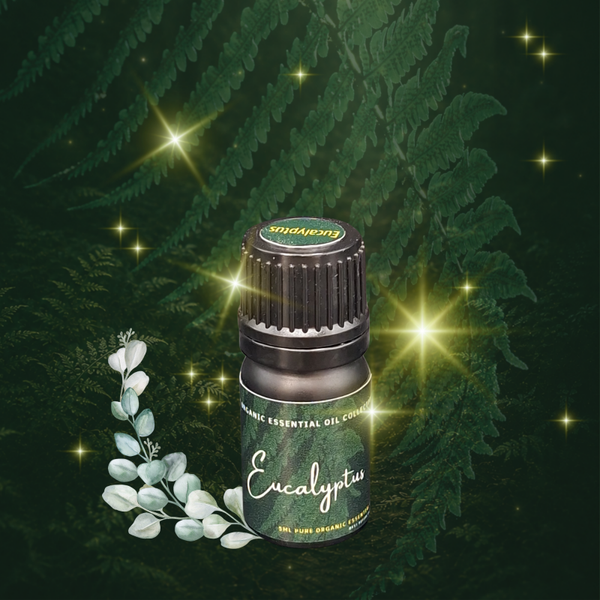 Eucalyptus essentiële olie