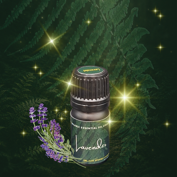 Lavendel essentiële olie